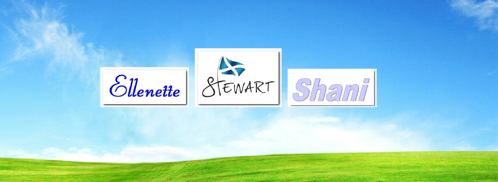 Mail: admin@haznet.co.za?subject=Web info: