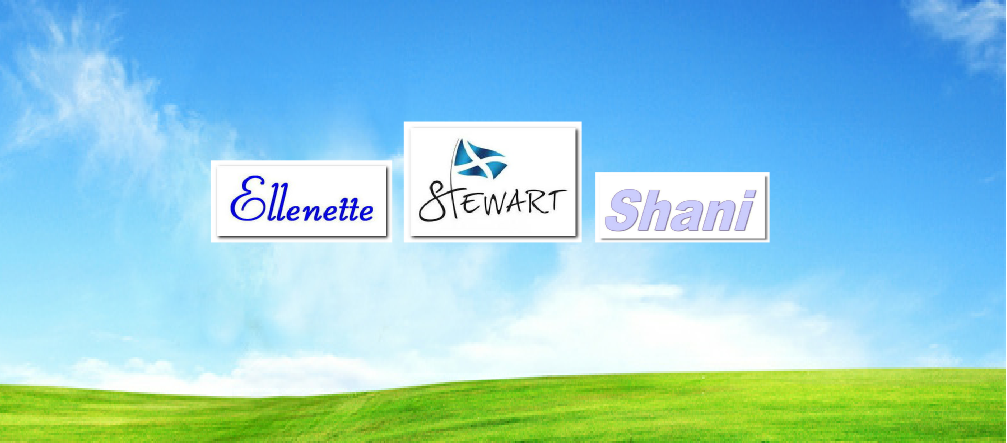 Mail: admin@haznet.co.za?subject=Web info: